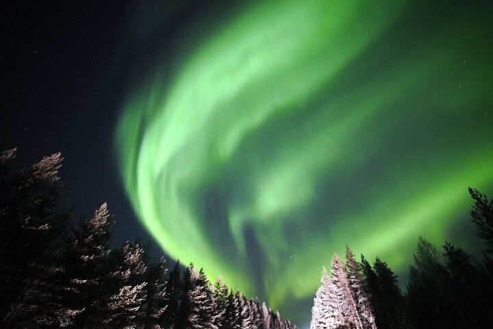 Private 4x4 Northern Lights Hunt from Levi with Aurora Guarantee (1/8)
