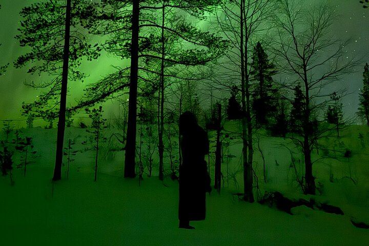 Northern Lights from a Family Wilderness Cabin near Levi (8/12)