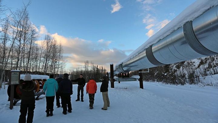 Arctic Circle and Northern Lights Day Trip from Fairbanks (3/7)