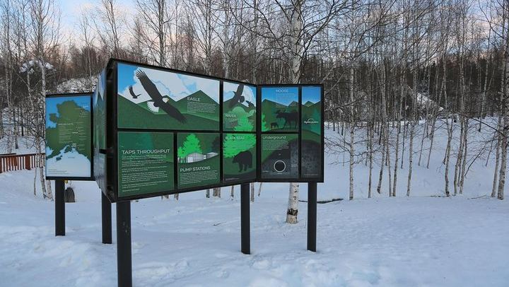 Arctic Circle and Northern Lights Day Trip from Fairbanks (4/7)