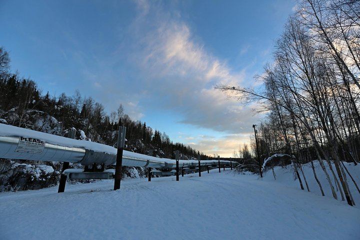 Arctic Circle and Northern Lights Day Trip from Fairbanks (5/7)