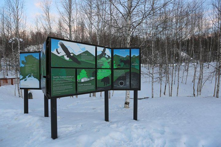 Arctic Circle and Northern Lights Day Trip from Fairbanks (4/7)