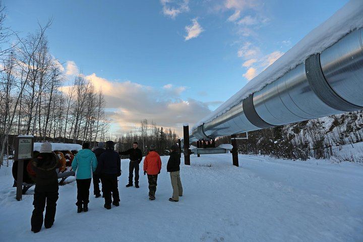 Arctic Circle and Northern Lights Day Trip from Fairbanks (3/7)