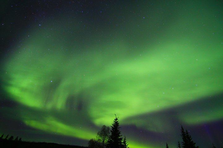 Arctic Circle and Northern Lights Day Trip from Fairbanks (6/7)
