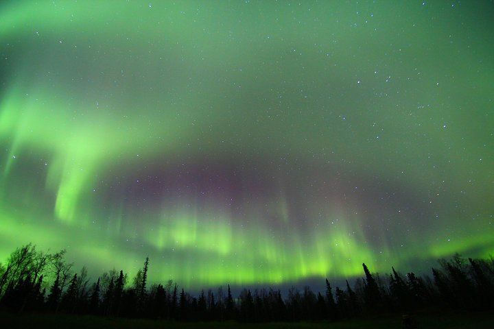 Arctic Circle and Northern Lights Day Trip from Fairbanks (7/7)