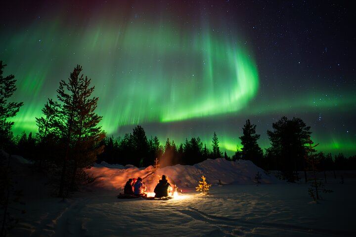Northern Lights Hunting Expedition in Ranua, Lapland, Max 8 People (5/5)