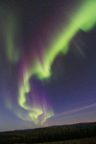 Chena Hot Springs and Northern Lights Night Tour from Fairbanks (3/6)