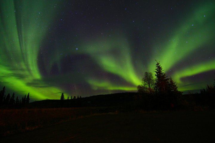 Chena Hot Springs and Northern Lights Night Tour from Fairbanks (6/6)