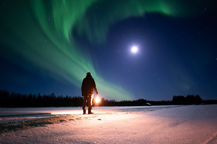 Northern Lights Hunting Expedition in Ranua, Lapland, Max 8 People (4/5)