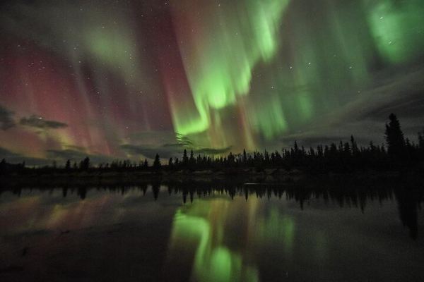 Northern Lights and Huskies at a Takhini River Dog Lodge