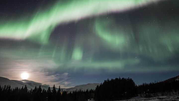 Northern Lights 4x4 Minibus Photography Tour from Akureyri (4/6)