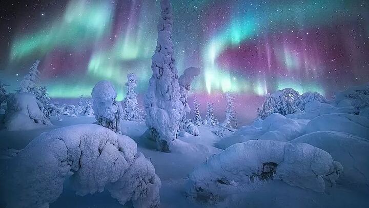Fairbanks to the Arctic Circle Tour with Northern Lights, 12 to 14 Hours (2/12)