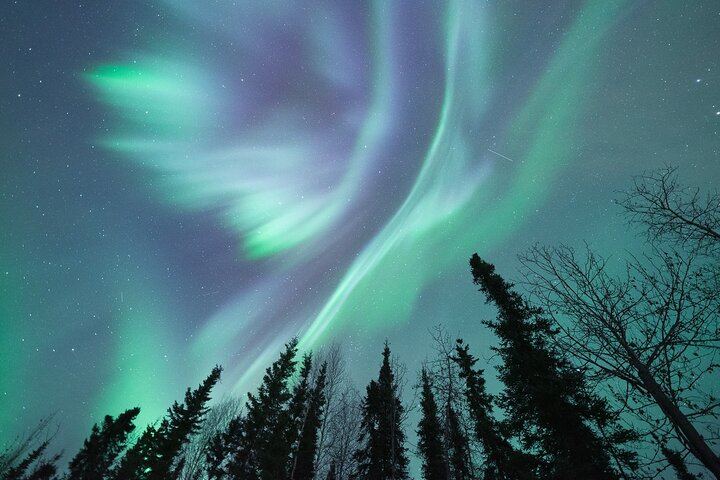 Fairbanks to the Arctic Circle Tour with Northern Lights, 12 to 14 Hours (5/12)