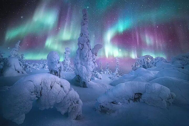 Fairbanks to the Arctic Circle Tour with Northern Lights, 12 to 14 Hours (2/12)