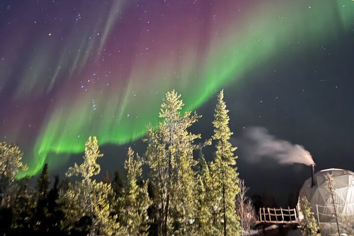 Skydome Aurora Viewing near Yellowknife with Hotel Pickup (11/12)