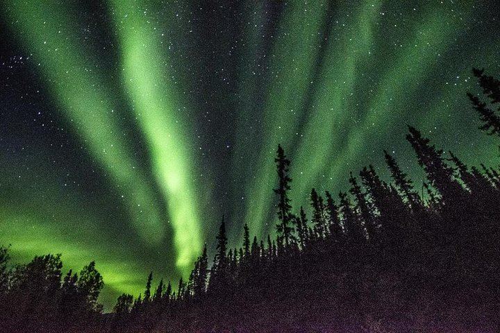 Fairbanks to the Arctic Circle Tour with Northern Lights, 12 to 14 Hours (10/12)