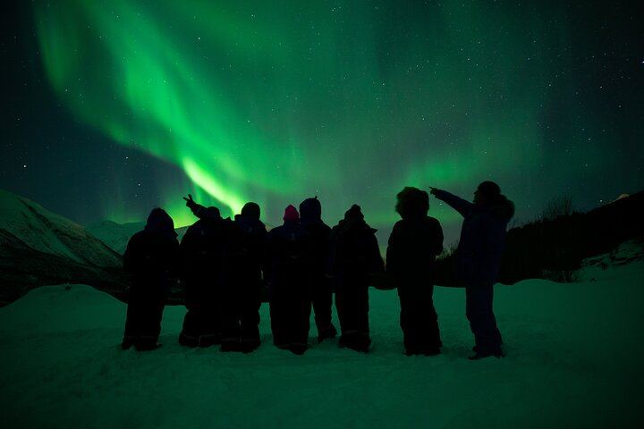 Northern Lights Big Bus Chase from Tromso with Chasing Lights (9/11)
