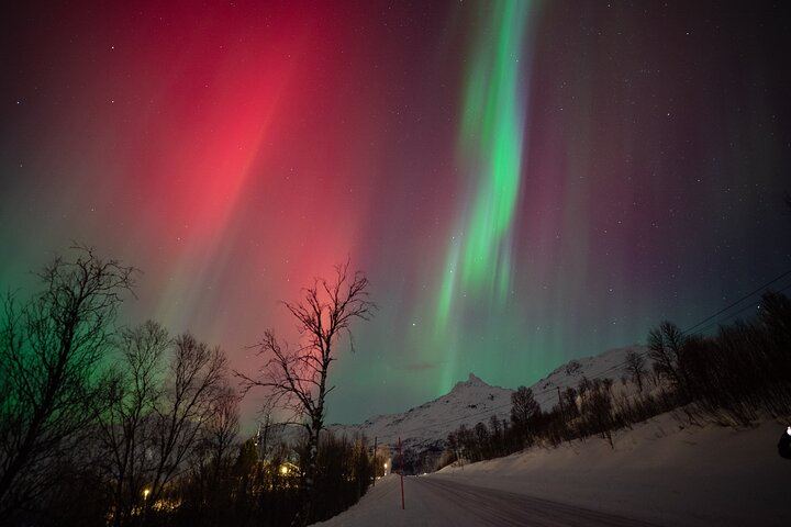 Northern Lights Big Bus Chase from Tromso with Chasing Lights (8/11)