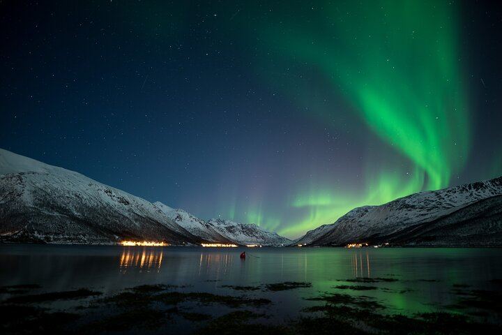 Northern Lights Big Bus Chase from Tromso with Chasing Lights (11/11)