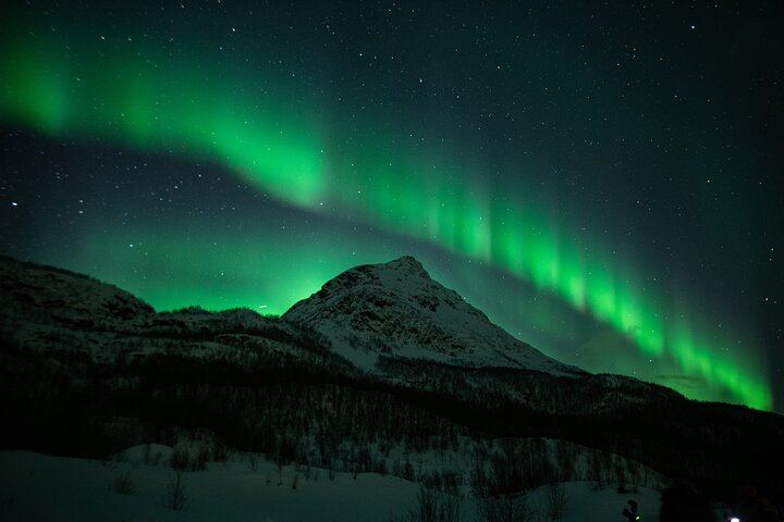 Northern Lights Big Bus Chase from Tromso with Chasing Lights (4/11)