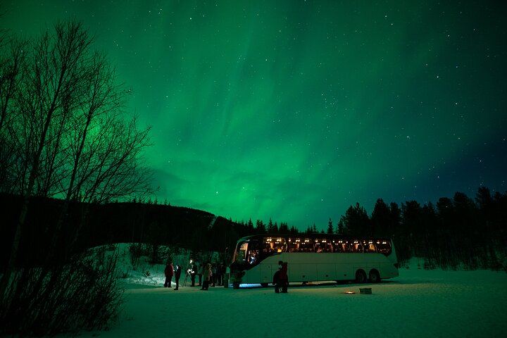 Northern Lights Big Bus Chase from Tromso with Chasing Lights (2/11)