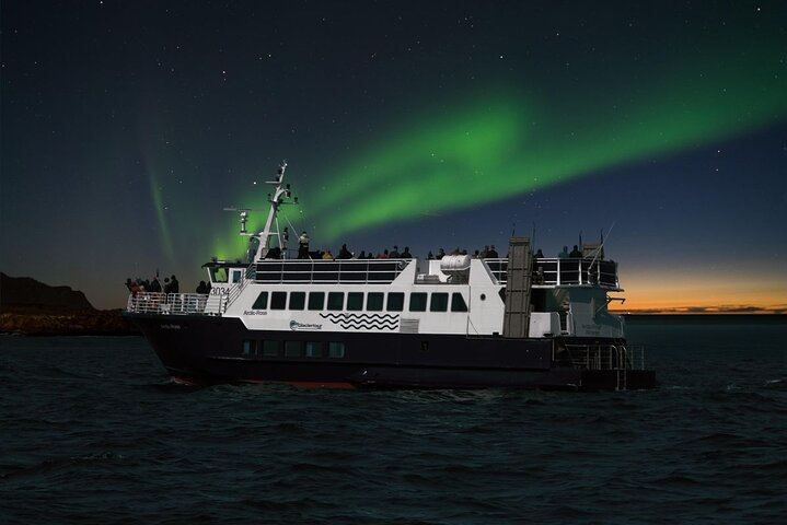 Northern Lights Boat Cruise from Reykjavík Old Harbour with Sea Trips (1/8)