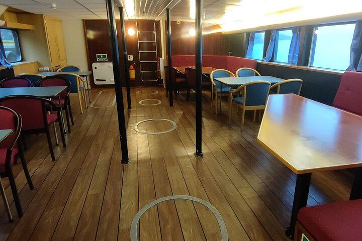 Northern Lights Boat Cruise from Reykjavík Old Harbour with Sea Trips (4/8)