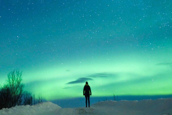 Northern Lights Bus Tour from Reykjavík with Hot Chocolate (2/8)