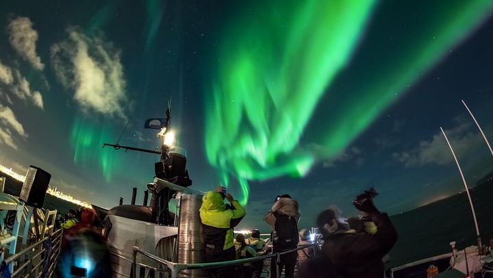 Iceland Super Saver: Northern Lights Cruise plus Whale Watching in Reykjavík (1/12)
