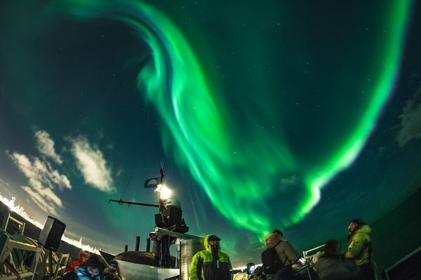 Northern Lights by Boat from Reykjavík Old Harbour, with a Backup Plan