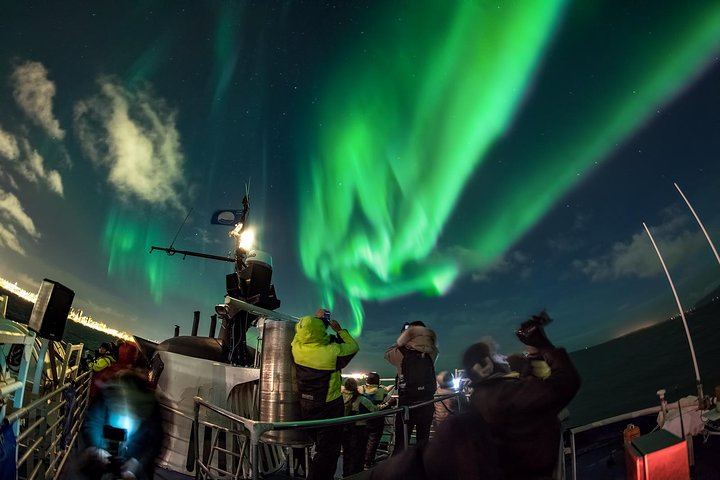Northern Lights by Boat from Reykjavík Old Harbour, with a Backup Plan (1/5)