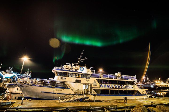 Iceland Super Saver: Northern Lights Cruise plus Whale Watching in Reykjavík (11/12)