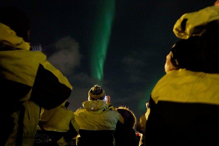 Iceland Super Saver: Northern Lights Cruise plus Whale Watching in Reykjavík (5/12)