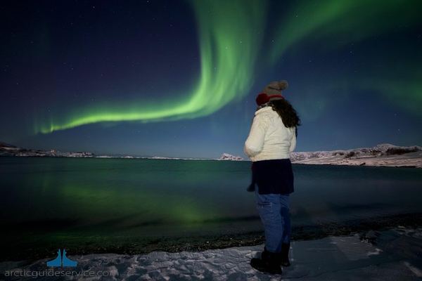 Tromso Northern Lights Chase with a Photo Package Included