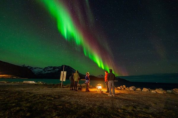 Northern Lights Chase with a Sami Guide, Campfire Meal and Photos
