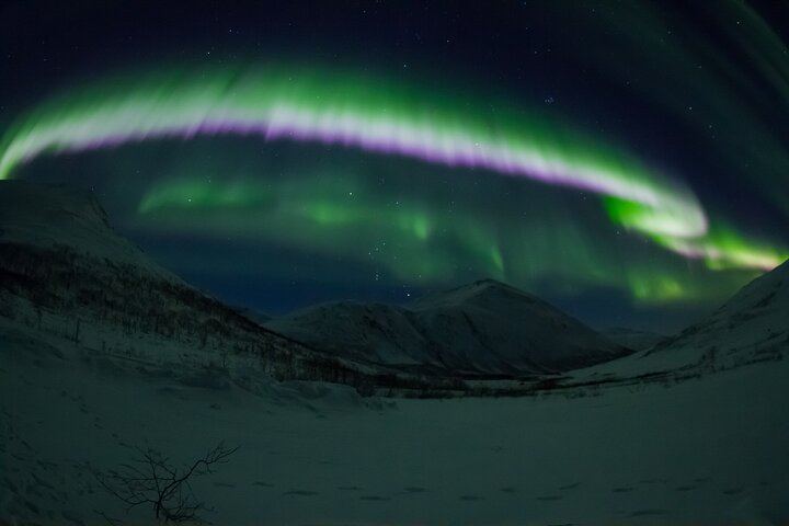 Small Group Northern Lights Chase from Downtown Tromso (6/6)
