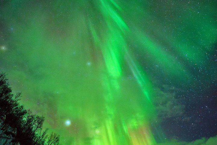 Chasse aux aurores à Tromsø, avec photos, collations et combinaisons thermiques (10/11)