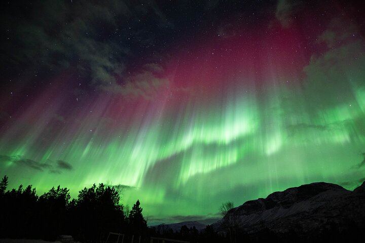 Northern Lights Chase with a North Norwegian Family Operator (5/6)