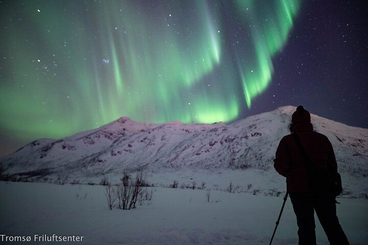 Northern Lights Chase with a North Norwegian Family Operator (4/6)