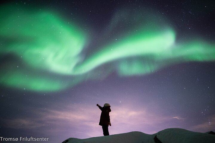 Northern Lights Chase with a North Norwegian Family Operator (6/6)