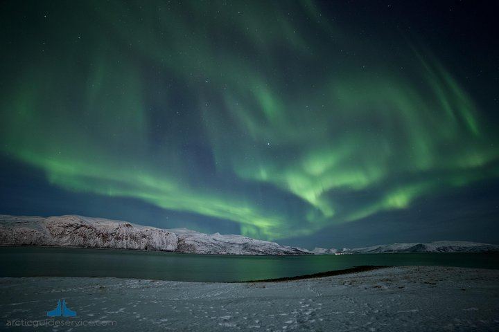Chasse aux aurores à Tromsø, avec un forfait photo inclus (3/6)