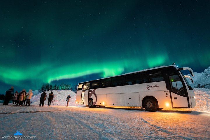 Chasse aux aurores à Tromsø, avec un forfait photo inclus (5/6)