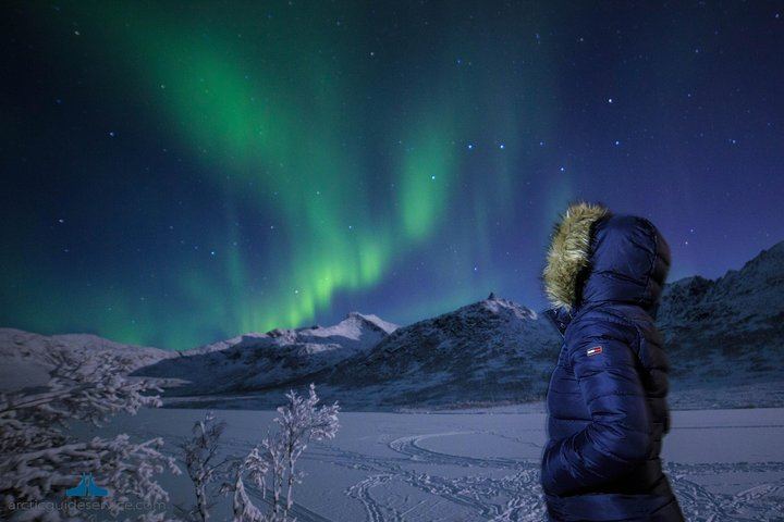 Chasse aux aurores à Tromsø, avec un forfait photo inclus (2/6)