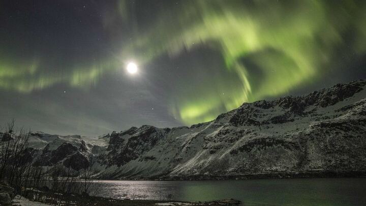 Northern Lights Chase from Tromso with a Professional Photographer (4/7)