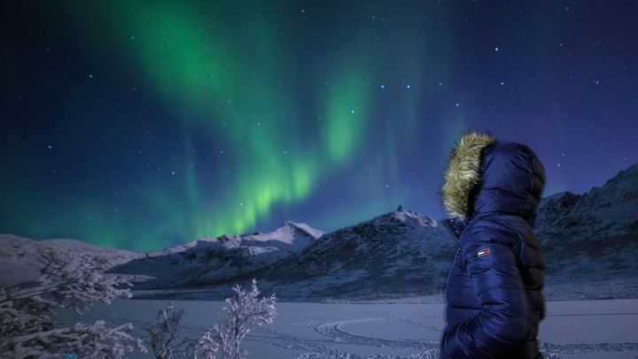 Chasse aux aurores à Tromsø, avec un forfait photo inclus (2/6)