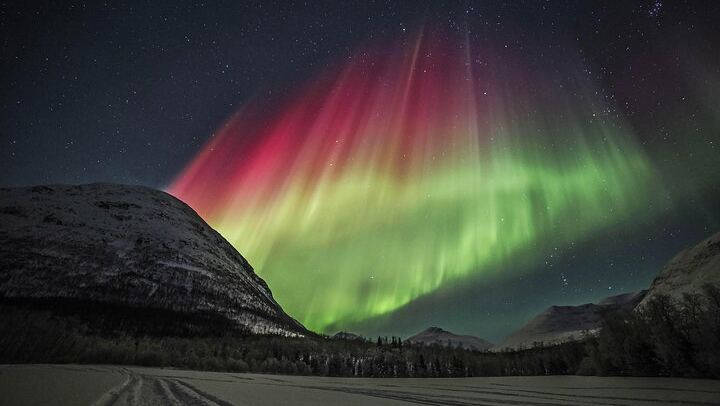 Northern Lights Chase from Tromso with a Professional Photographer (2/7)