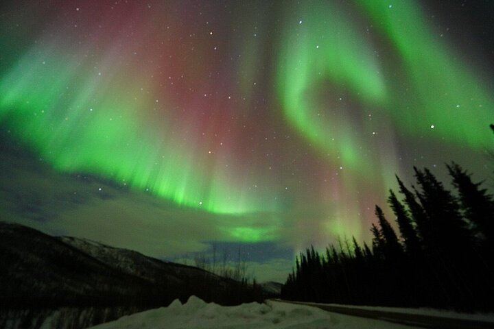 Chena Hot Springs and Northern Lights Evening from Fairbanks (6/12)