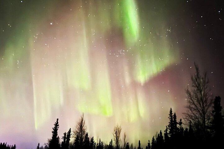 Chena Hot Springs and Northern Lights Evening from Fairbanks (3/12)