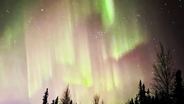 Chena Hot Springs and Northern Lights Evening from Fairbanks (3/12)