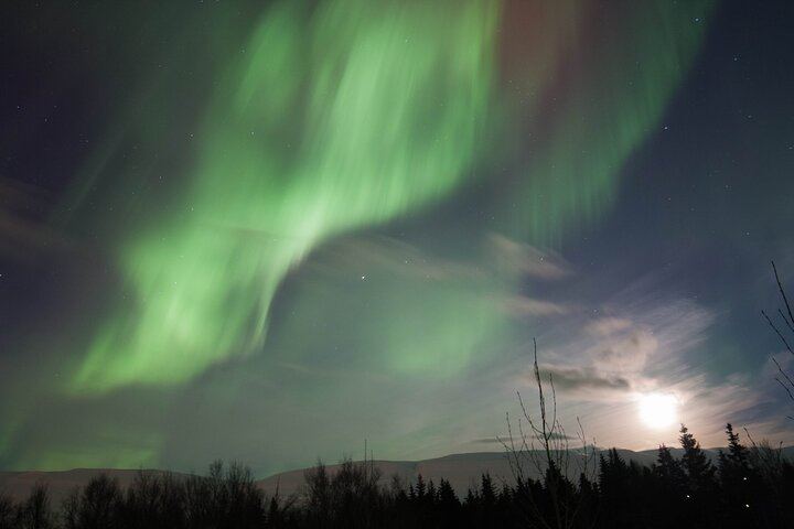 Northern Lights 4x4 Minibus Photography Tour from Akureyri (5/6)